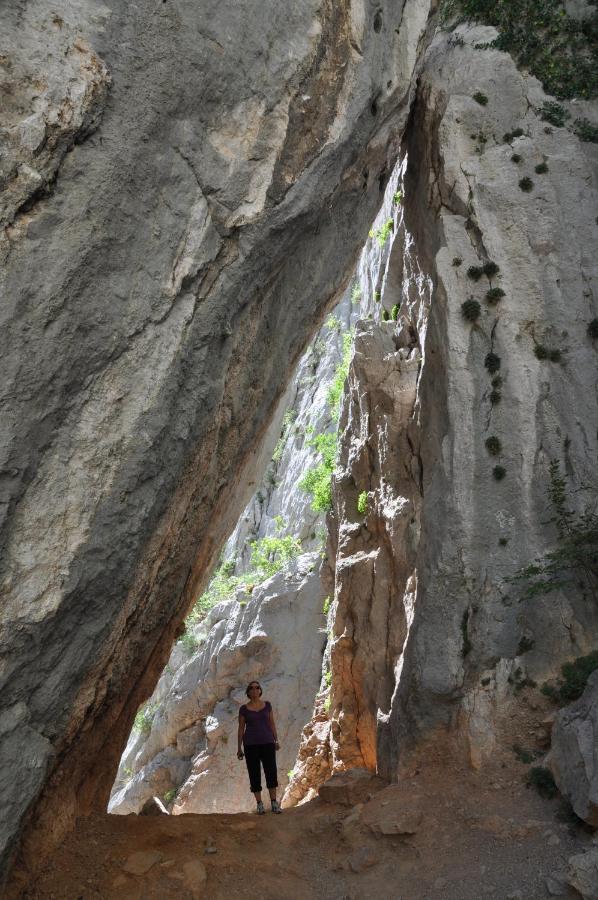 Camping Paklenica スタリグラード エクステリア 写真